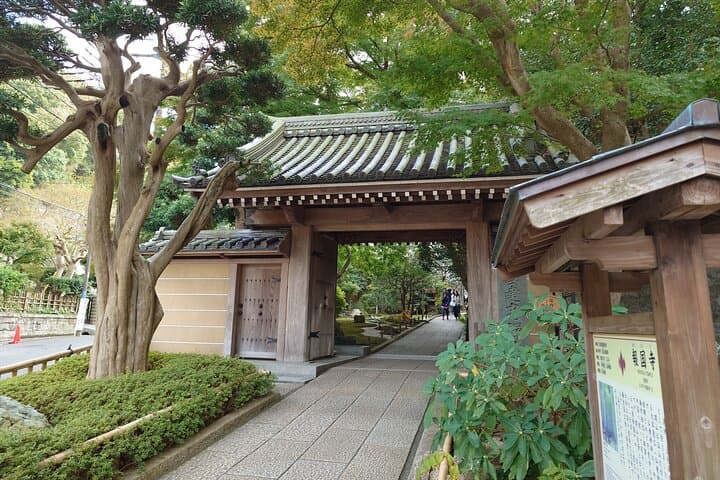 Kamakura Station Private Train Tour Experience — photo 5