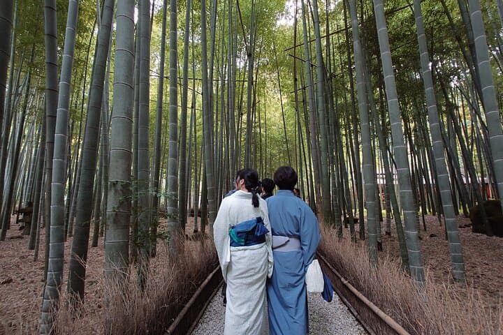 Kamakura Station Private Train Tour Experience — photo 6