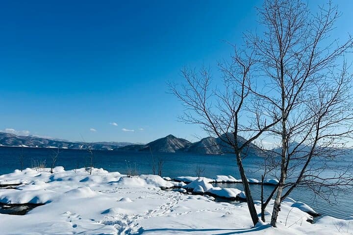 Hokkaido: Lake Toya Noboribetsu Tour From Sapporo — photo 13
