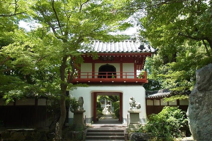 Nagoya: all-inclusive car tour to Korankei valley — photo 12