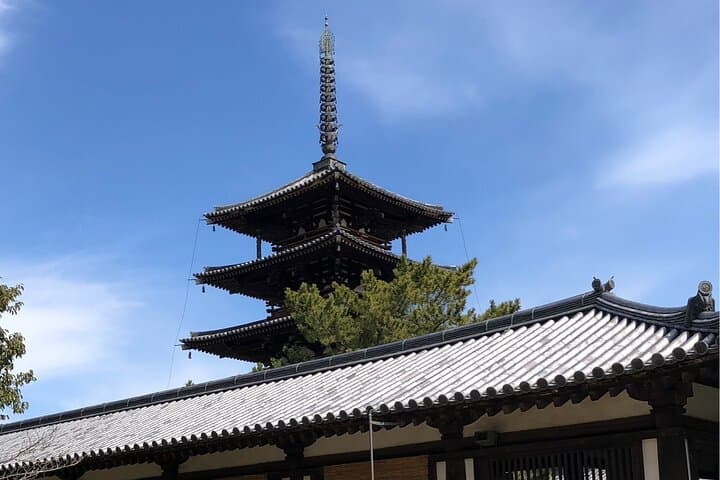 Intercity Transfer Kyoto to Osaka with Nara Sightseeing by Car — photo 3