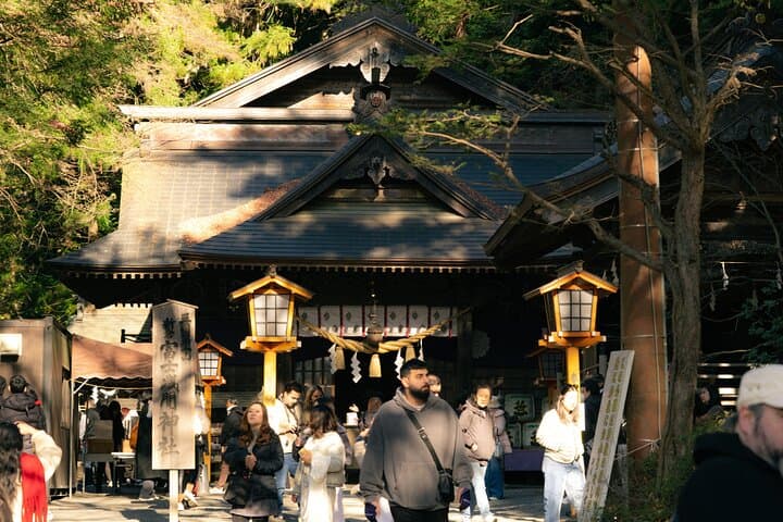 Mt. Fuji Scenic Tour: Lakes, Oshino Hakkai & Chureito PagodaTour — photo 13