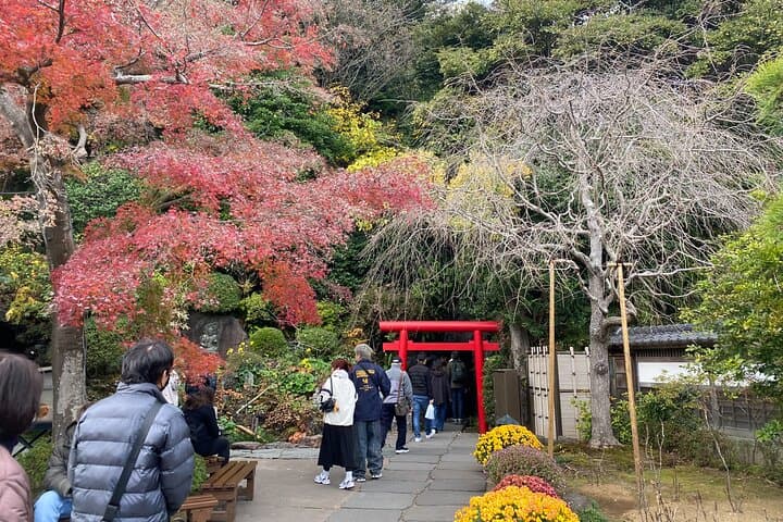Kamakura Private Custom Tour: Great Buddha, Temples & Coast — photo 8