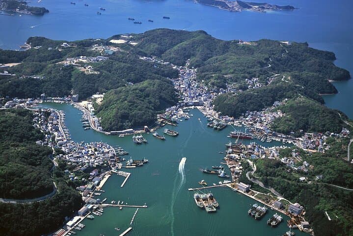 From Kyoto: Premium Seafood Course Lunch on Himeji Hidden Island — photo 2