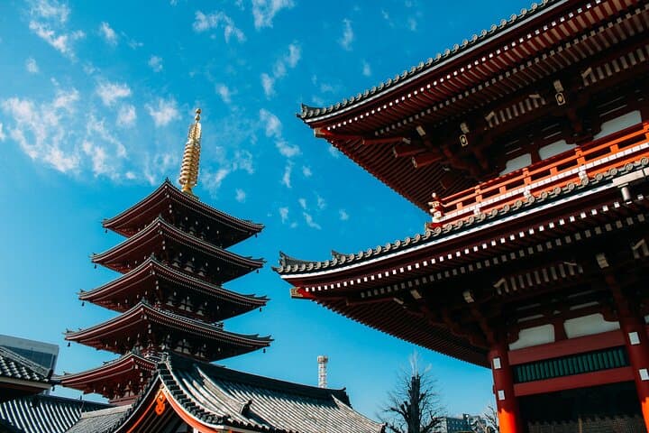 Tokyo Customized Private Tour (Must See Places in 1 Day) — photo 19