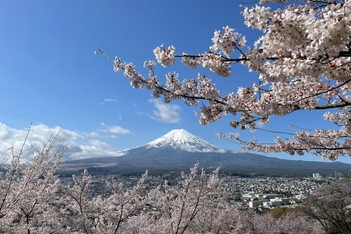 Mount Fuji Day Trip from Tokyo by Bus – Scenic Views & Highlights — photo 4