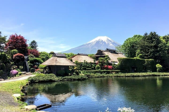 Mount Fuji Day Trip from Tokyo by Bus – Scenic Views & Highlights — photo 1