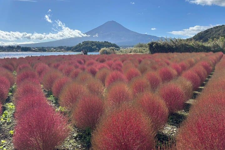 Mount Fuji Day Trip from Tokyo by Bus – Scenic Views & Highlights — photo 10