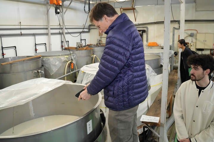 Sake Brewery Tour and Label Making in Historic Tokoname — photo 3