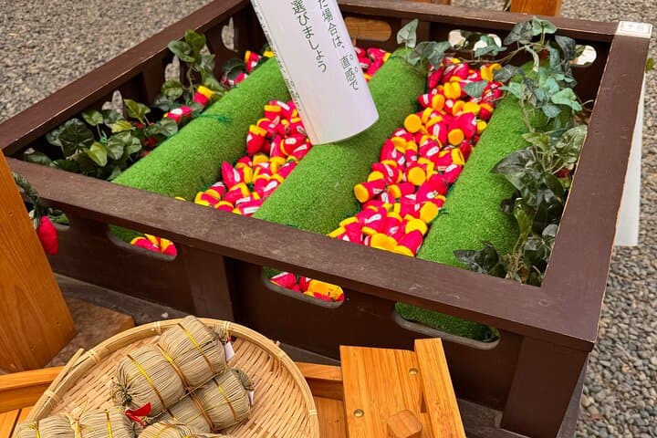 Kawagoe,Ikaho Tour frm Tokyo w/KobeBeef Lunch,Strawberry Picking — photo 6