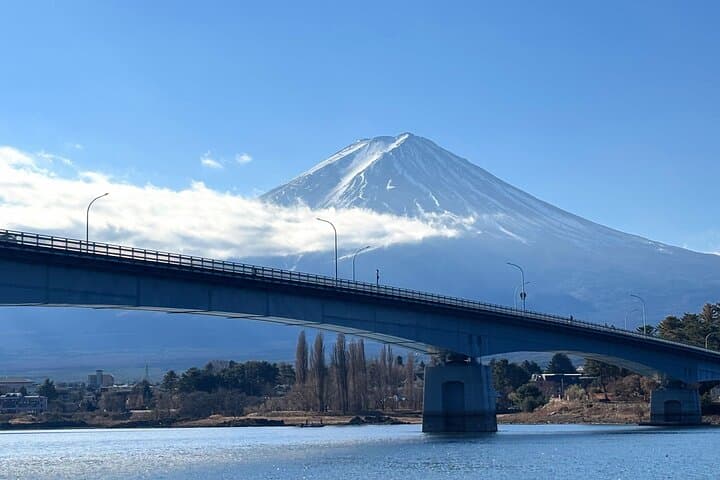 Spectacular Mt. Fuji and Lake Cruise, Noodles Making Experience — photo 20
