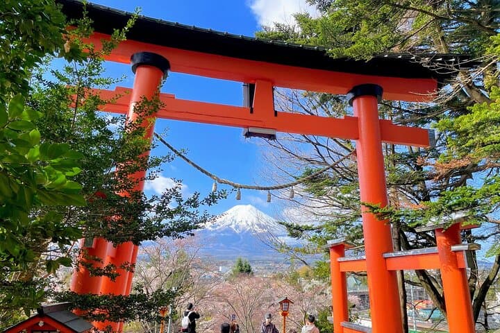 Spectacular Mt. Fuji and Lake Cruise, Noodles Making Experience — photo 10