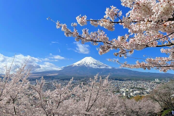 Spectacular Mt. Fuji and Lake Cruise, Noodles Making Experience — photo 16