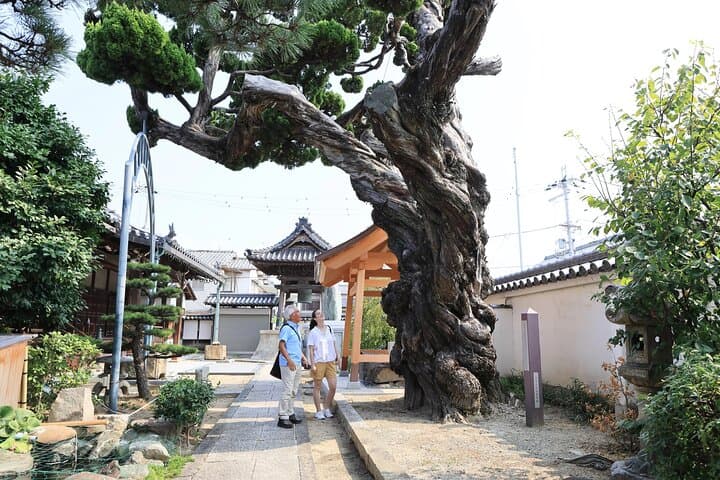 Osaka Wagashi Making and Matcha with Historic Temple Walking Tour — photo 15
