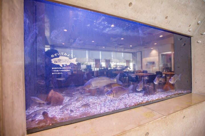 Osaka Magatama and Bronze Mirror Craft Ancient Site Tour — photo 10