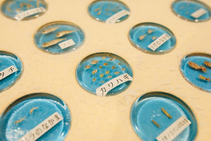 Osaka Magatama and Bronze Mirror Craft Ancient Site Tour — photo 18