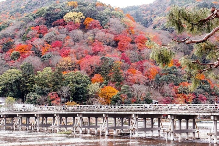 Sagano Train and Kiyomizu Dera Temple Day Tour Osaka — photo 4
