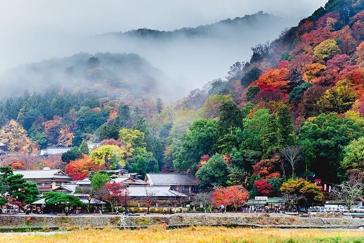 Sagano Train and Kiyomizu Dera Temple Day Tour Osaka — photo 5