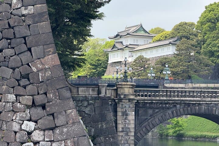 Imperial Palace Tokyo Station and Tsukiji Market Private Tour — photo 2
