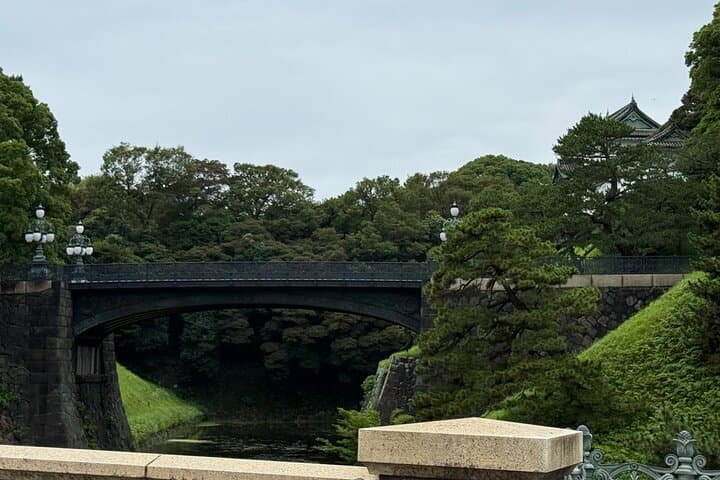 Imperial Palace Tokyo Station and Tsukiji Market Private Tour — photo 4