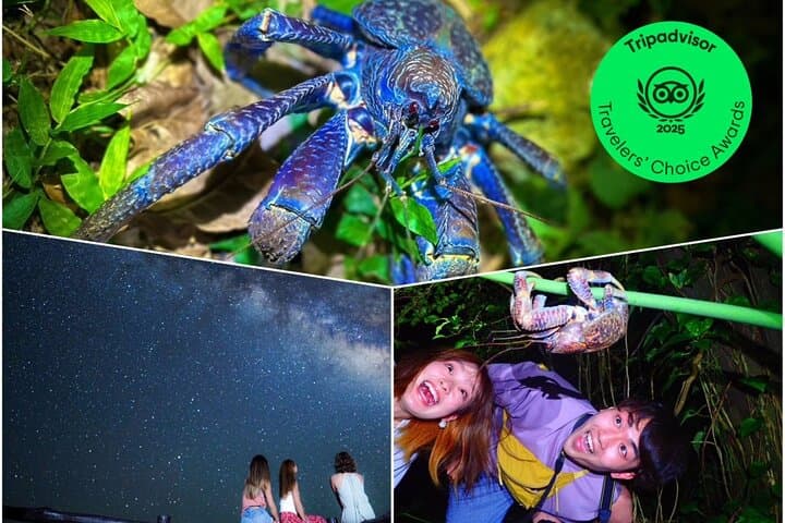 Okinawa Ishigaki Island Night Starry sky and Jungle night tour — photo 2