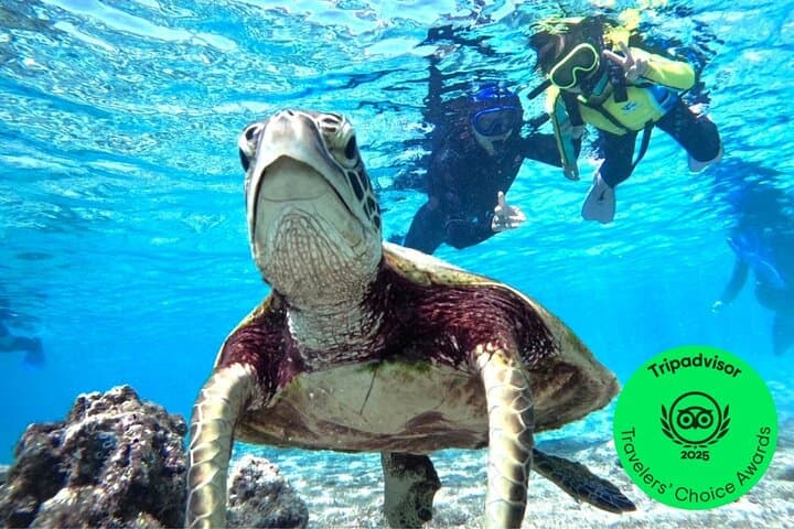Okinawa Miyako Beach SUP or Canoe and sea turtle Snorkeling — photo 2