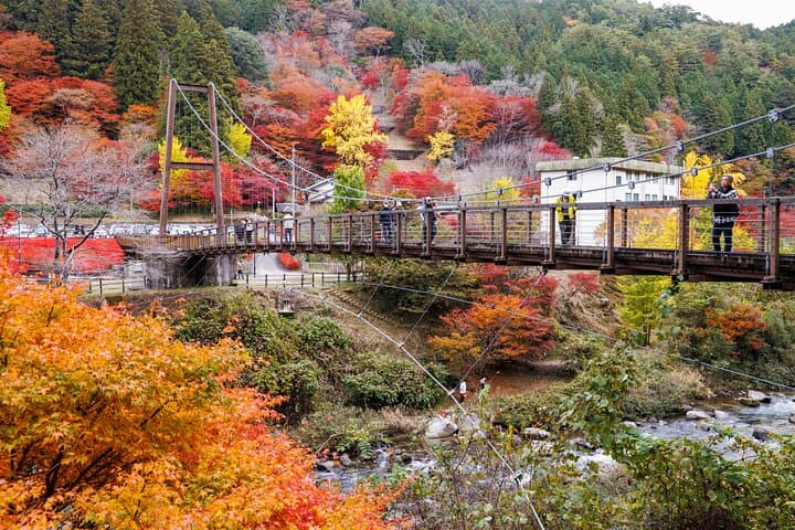 Toyota Green Life Experience Autumn Leaves, Gohei Mochi in Inabu — photo 5