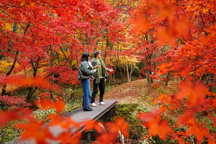 Toyota Green Life Experience Autumn Leaves, Gohei Mochi in Inabu — photo 2