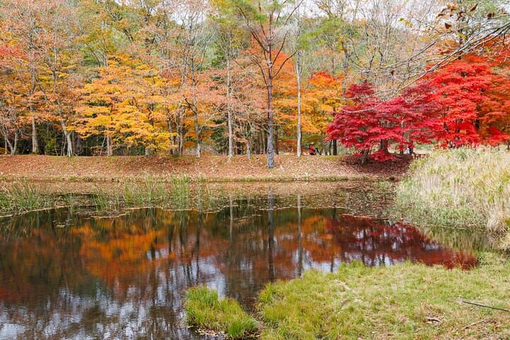 Toyota Green Life Experience Autumn Leaves, Gohei Mochi in Inabu — photo 10