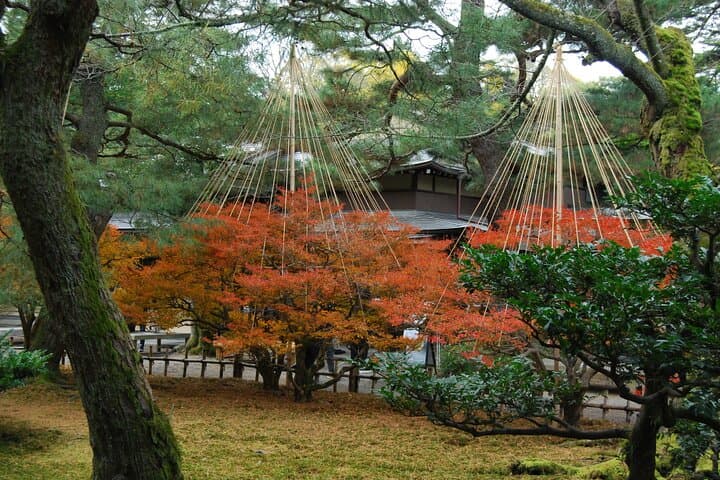 Kanazawa Half Day Private Tour, Garden, Castle, and Geisha