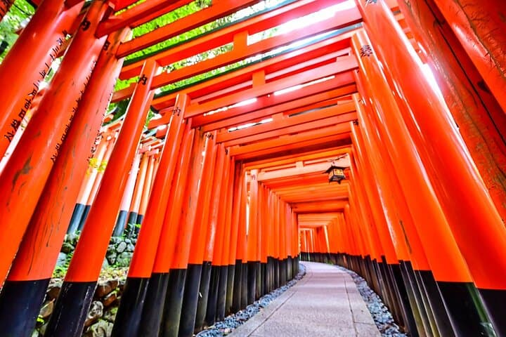 Osaka Kyoto: Nijo Castle, Nara, Arashiyama, Day Trip by Bus — photo 17