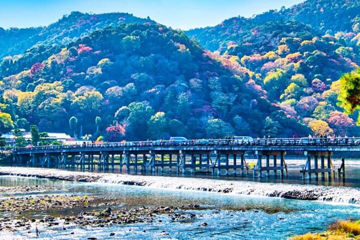 Osaka Kyoto: Nijo Castle, Nara, Arashiyama, Day Trip by Bus — photo 11