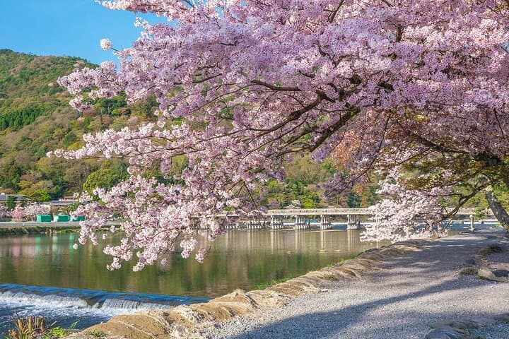 Osaka Kyoto: Nijo Castle, Nara, Arashiyama, Day Trip by Bus — photo 12