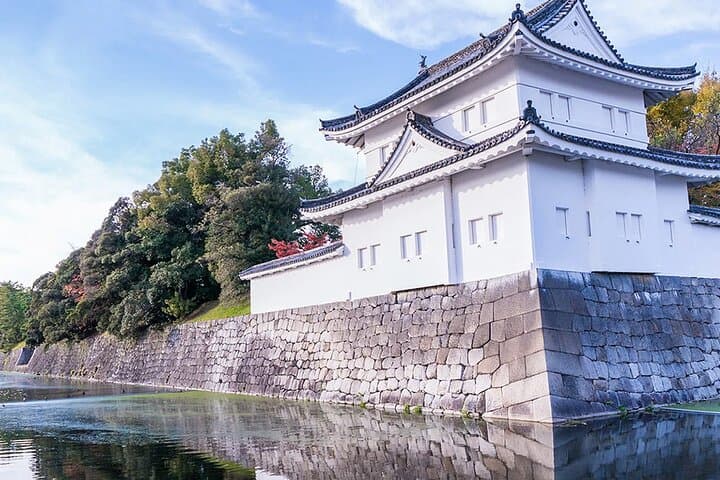Osaka Kyoto: Nijo Castle, Nara, Arashiyama, Day Trip by Bus — photo 8