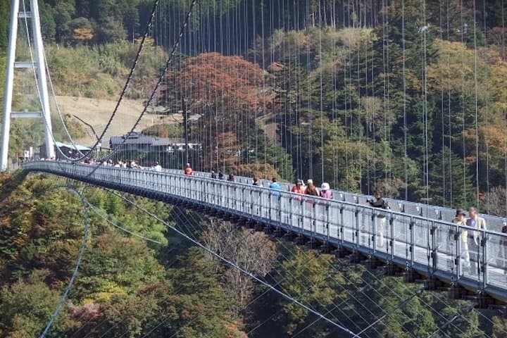 Private Beppu Oita Shore Excursion Hells of Beppu Tour — photo 5