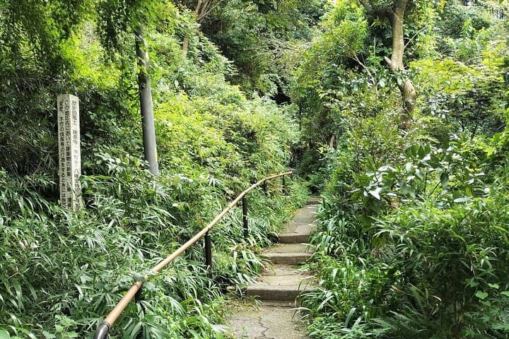 Japanese Sweets and Trekking Tour in Kamakura — photo 5