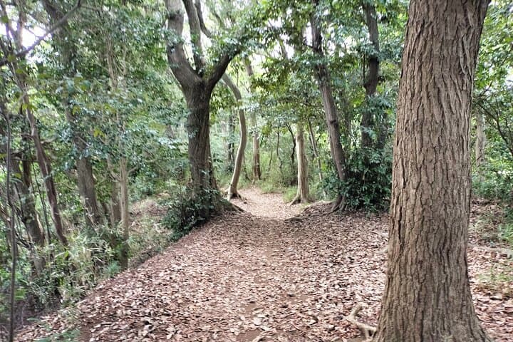 Japanese Sweets and Trekking Tour in Kamakura — photo 6