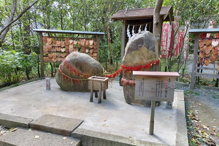 Japanese Sweets and Trekking Tour in Kamakura — photo 9