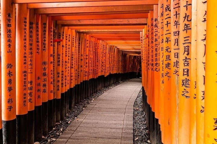 Explore Kyoto in Comfort – Private Car Tour with English Driver — photo 2