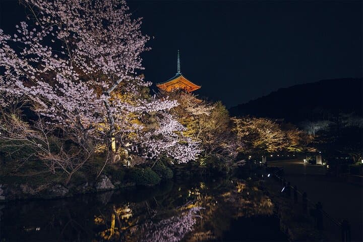 Explore Kyoto in Comfort – Private Car Tour with English Driver — photo 3