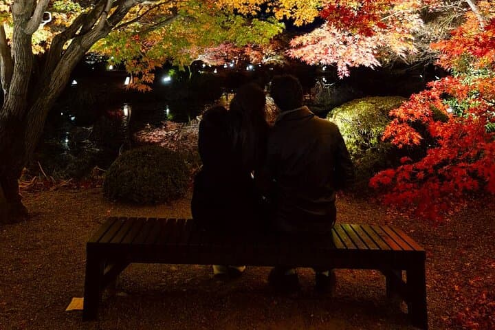 Explore Kyoto in Comfort – Private Car Tour with English Driver — photo 4
