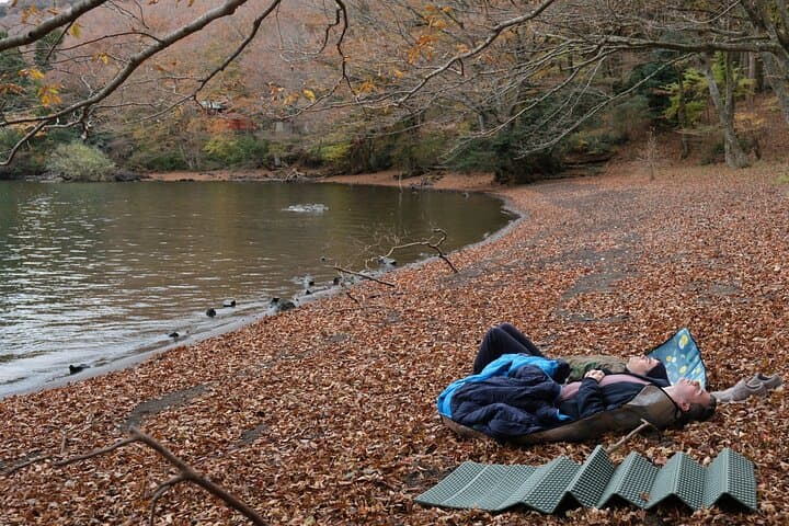 Shinrin Yoku / Forest Bathing at Hakone Lakeshore (Lake Ashi) — photo 3