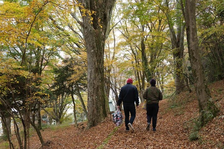 Shinrin Yoku / Forest Bathing at Hakone Lakeshore (Lake Ashi) — photo 14