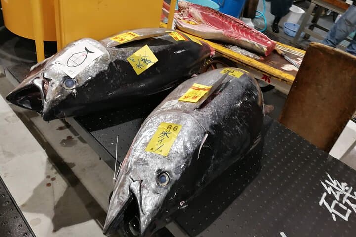 Complete Tuna Auction & Toyosu Market Tour with Fumi — photo 4