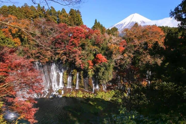 Hakone Private & Custom Day Tour with English Driver-guide — photo 18