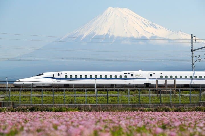 Tokyo to Kyoto Bullet Train Trip with 1-Day Subway and Bus Pass — photo 1