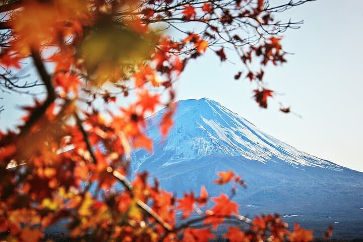 Tokyo to Kyoto Bullet Train Trip with 1-Day Subway and Bus Pass — photo 4