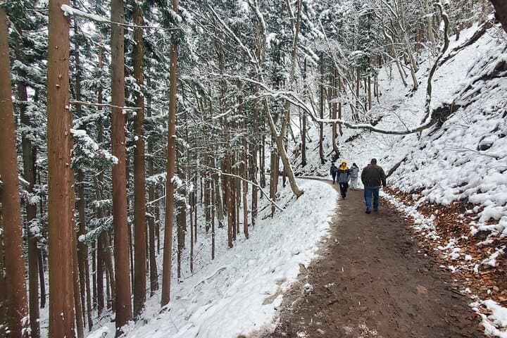 Snow Monkey Park & Zenkoji Private Tour (Customizable) — photo 6