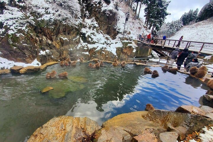 Snow Monkey Park & Zenkoji Private Tour (Customizable) — photo 12