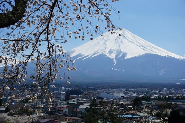 Tokyo to Kyoto Bullet Train Trip with 1-Day Subway and Bus Pass — photo 6